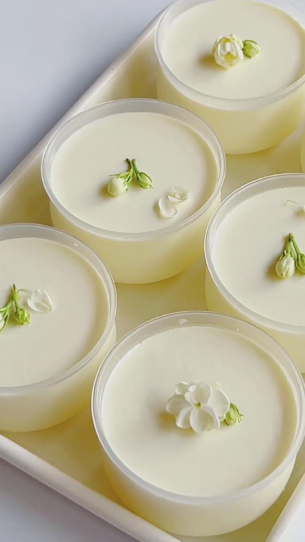 jasmine panna cotta (1)