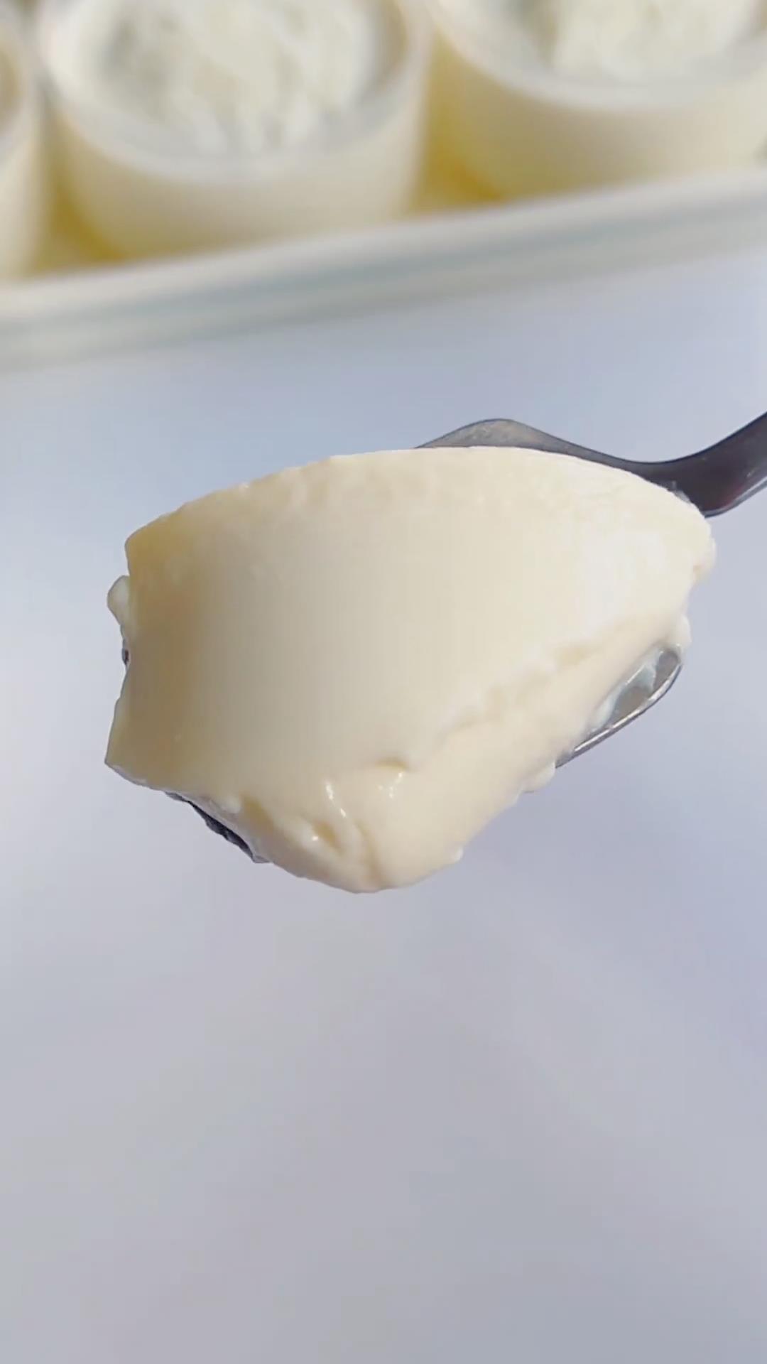 Coconut Milk Pudding (Panna Cotta Style) (1)