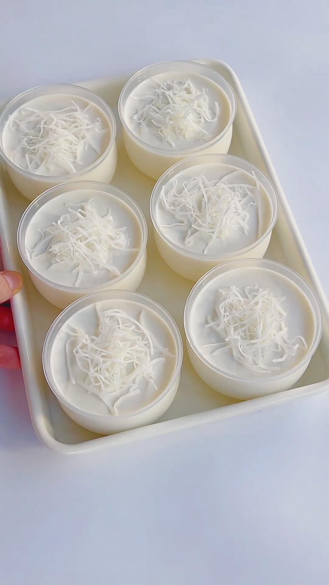 Coconut Milk Pudding (Panna Cotta Style) (2)