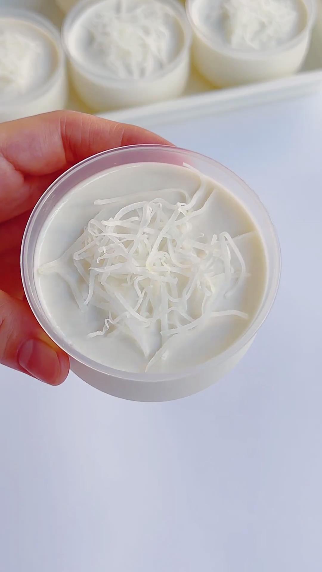 Coconut Milk Pudding (Panna Cotta Style) (3)