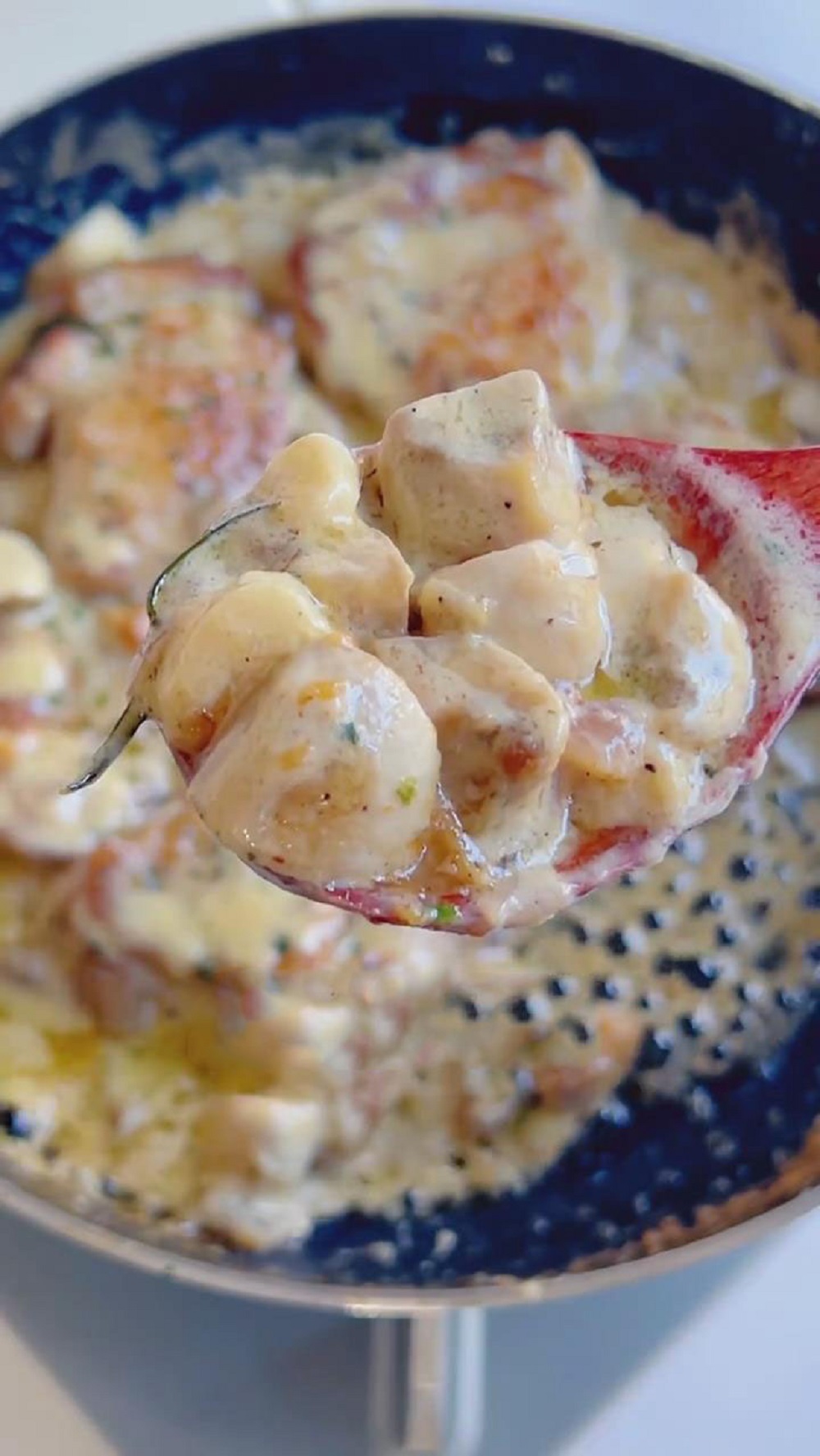 Creamy Mushroom Chicken1