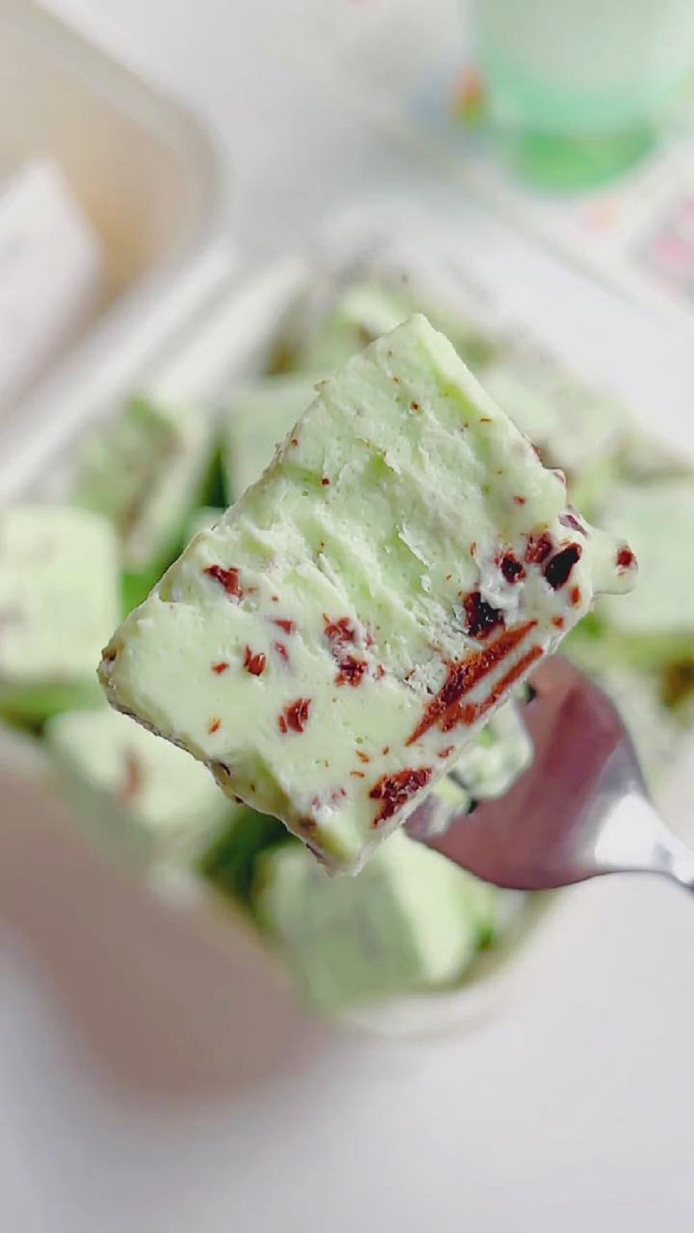 Mint Dark Chocolate Ice Cream Bites (2)