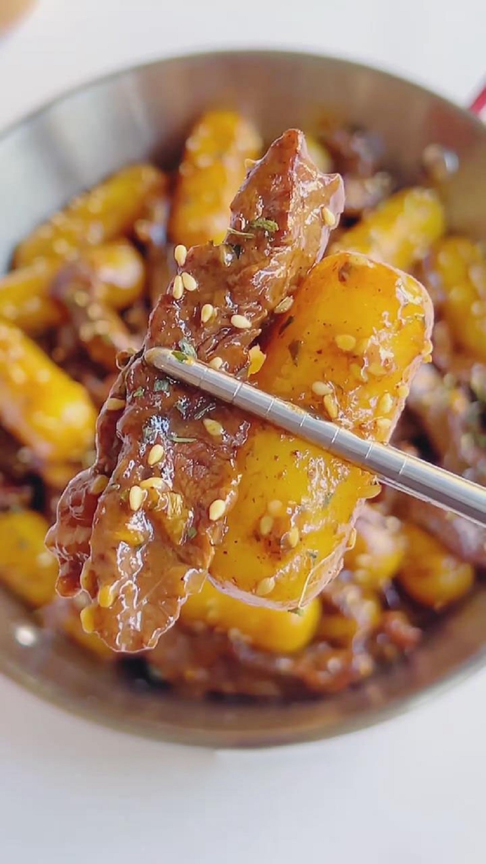 Pan Fried Rice Cakes with Steak (2)