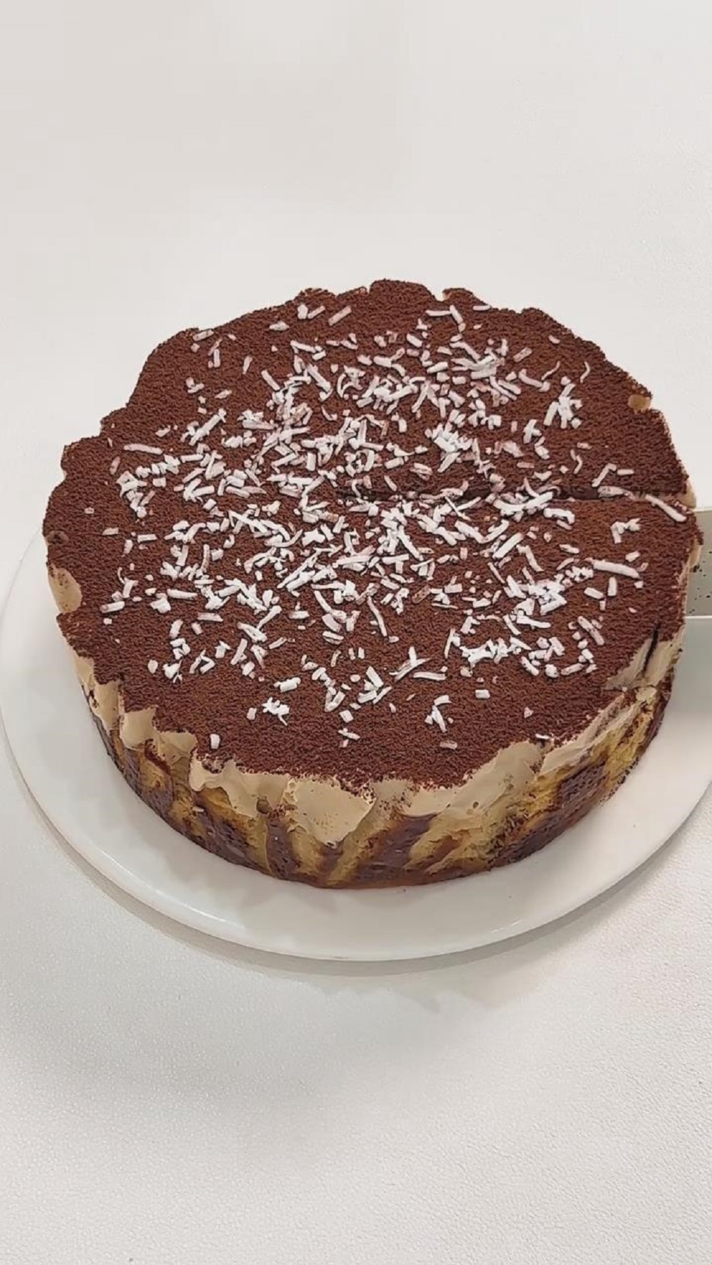 Double Layer Coffee Basque Cheesecake (1)