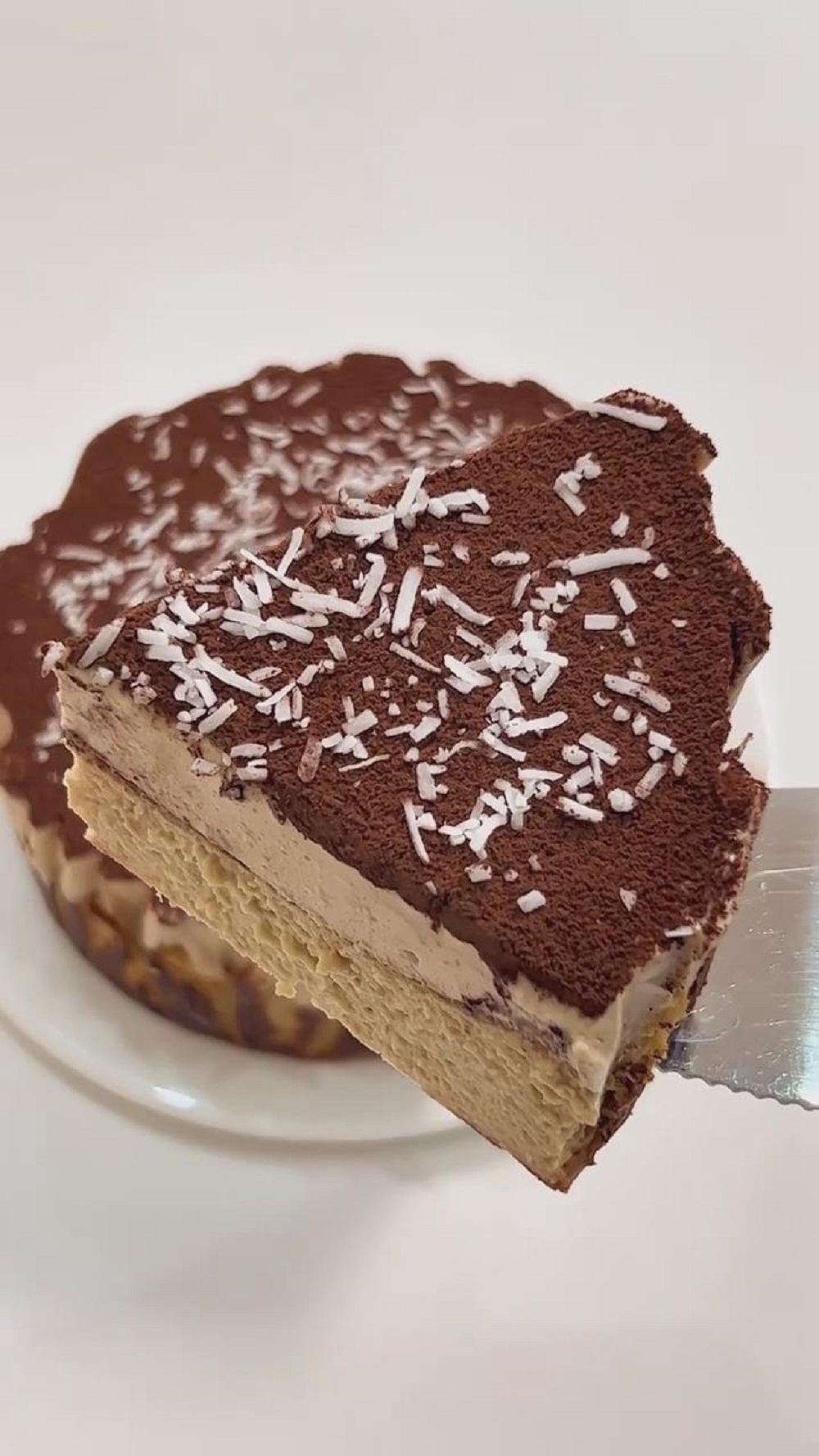 Double Layer Coffee Basque Cheesecake (2)