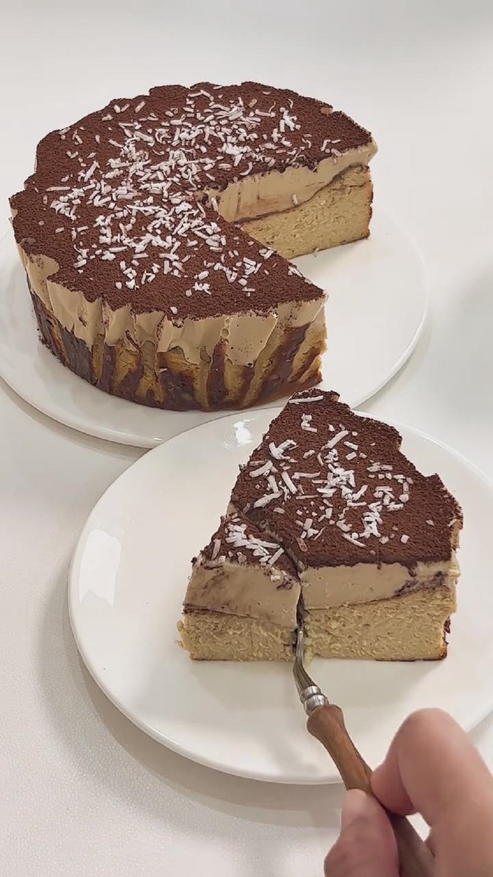 Double Layer Coffee Basque Cheesecake (3)